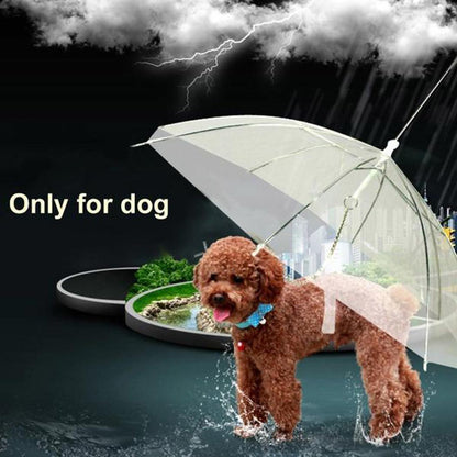 Combo super mascota 2X1