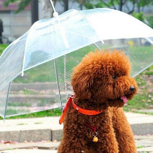 Combo super mascota 2X1
