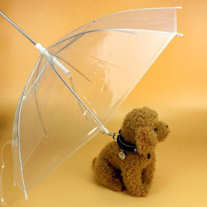 Combo super mascota 2X1